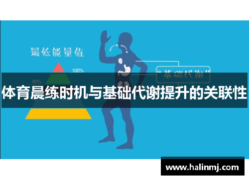 体育晨练时机与基础代谢提升的关联性